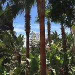 Panorama *